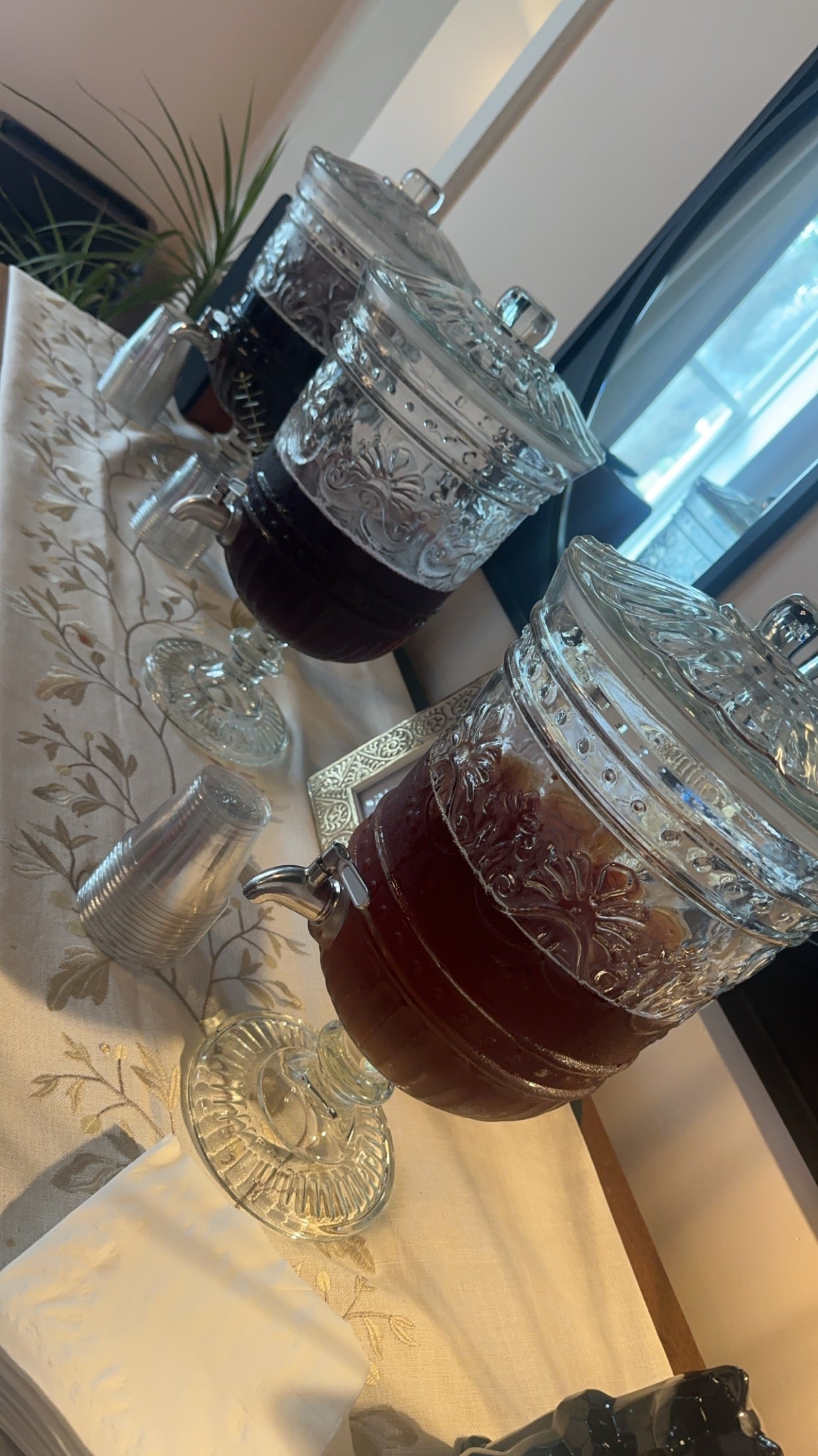 Mississippi Blues Blueberry  Hibiscus Gallon